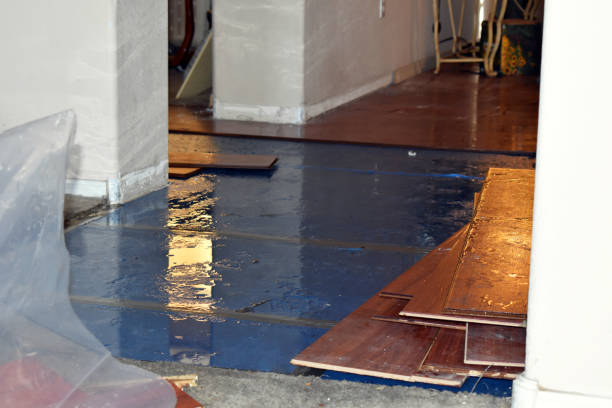 Professional Emergency Water Damage Restoration technician working in Danese, WV