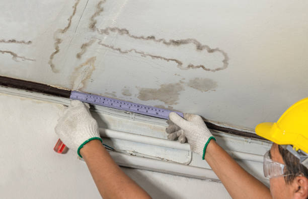 Reliable Emergency Water Damage Restoration contractor in Danese, WV by Water Damage Irwin